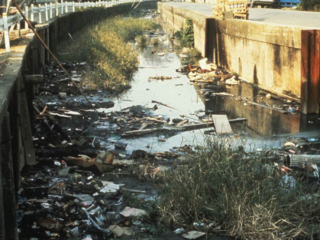 古川親水整備前