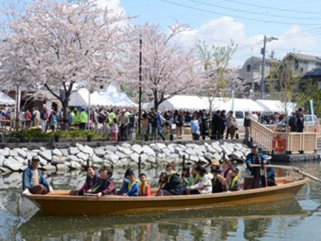 新川千本桜まつり（地域活性化）
