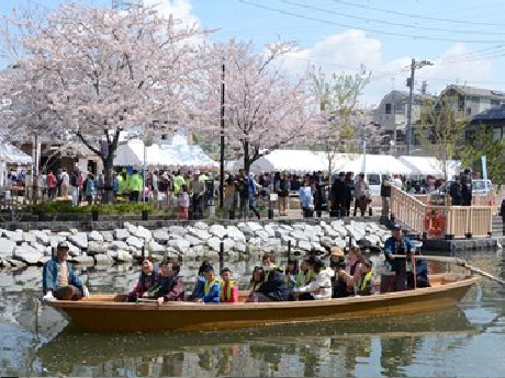 イベントの開催（新川千本桜まつり＜お花見和船＞）