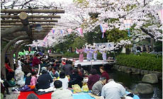 整備後の小松川境川親水公園