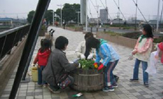 イベントの開催（新川千本桜まつり＜お花見和船＞）