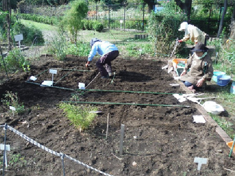 ボランティアによる都市緑化植物園内の見本園の維持管理