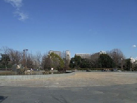 公園内の広場