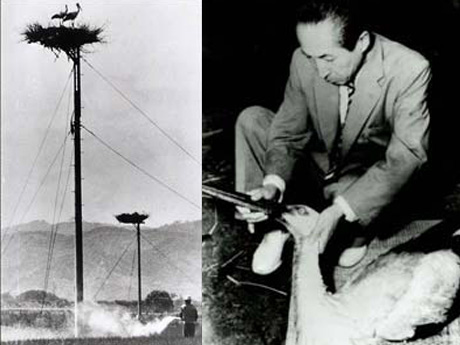 農薬散布をはじめとする環境悪化