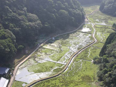 ムラの休耕田を共同管理で湿地に（田結湿地）