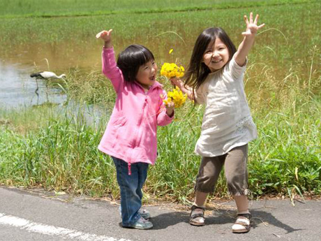 コウノトリ写真コンクール作品