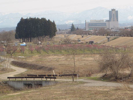 最上川左岸河川敷の舟通し水路整備前の状況