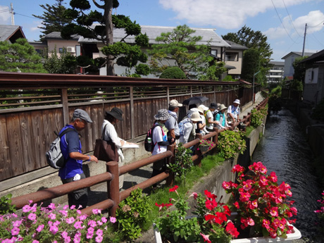 かつての舟運文化を偲ばせる川沿いの小道を歩くフットパスイベント参加者の皆さん